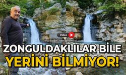 Zonguldaklılar bile yerini bilmiyor