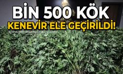 Zehir tacirlerine yapılan baskında 34 şüpheli tutuklandı