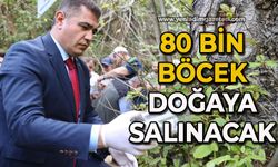 80 bin adet böcek doğaya salınacak