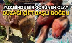 Yüz binde bir görülen olay