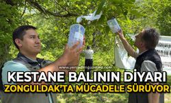 Kestane balının diyarında mücadele sürüyor