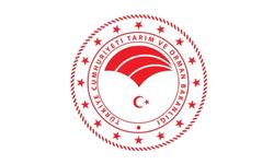 Kdz. Ereğli Orman İşletme Şefliği yeni orman yolu yapım işi