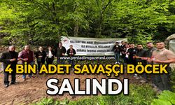 4 bin adet savaşçı böcek salındı