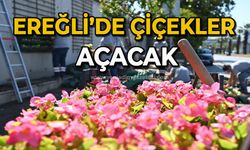 Ereğli’de çiçekler açacak
