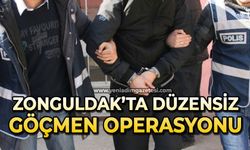Düzensiz göçmen yakalandı