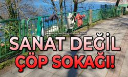 Sanat değil çöp sokağı!