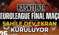 Sahile dev ekran kuruluyor