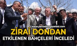 Zirai dondan etkilenen bahçeleri inceledi