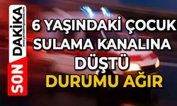 6 yaşındaki çocuk sulama kanalına düştü: Durumu ağır