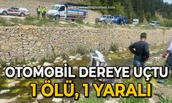 Yoldan çıkan otomobil dereye uçtu: 1 ölü, 1 yaralı