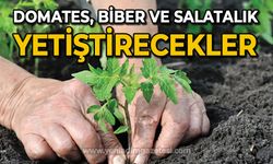 Domates, biber, salatalık yetiştirecekler