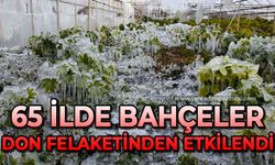 TZOB Genel Başkanı Bayraktar: "65 ilimizde meyve bahçelerimiz don felaketinden etkilendi"