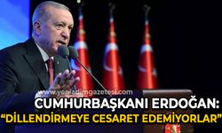 Cumhurbaşkanı Erdoğan: "Gerçekleri bal gibi bildikleri halde maalesef bunu dillendirmeye cesaret edemiyorlar"