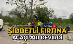 Şiddetli fırtınada ağaçlar devrildi