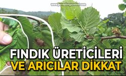 Fındık üreticileri ve arıcılar dikkat