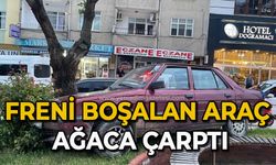 Freni boşalan araç ağaca çarptı