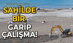 Sahilde bir garip çalışma