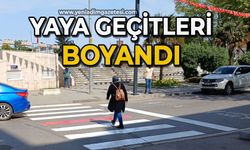 Yaya geçitleri boyandı