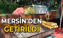 Mersin’den getirildi