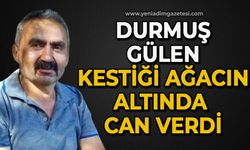 Durmuş Gülen kestiği ağacın altında can verdi