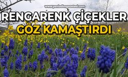 Rengarenk çiçekler göz kamaştırdı