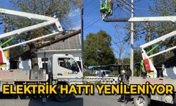 Elektrik hattı yenileniyor