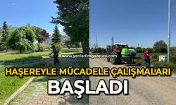 Haşereyle mücadele çalışmaları başladı