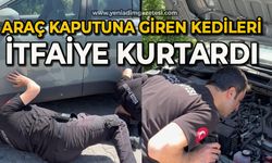 Aracın kaputunun altına giren 2 yavru kedi itfaiye ekiplerince kurtarıldı