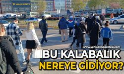 Bu kalabalık nereye gidiyor?