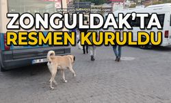 Zonguldak’ta resmen kuruldu
