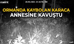 Ormanda kaybolan karaca annesine kavuştu