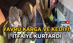 Yavru karga ve kediyi itfaiye kurtardı