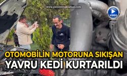 Otomobilin motoruna sıkışan yavru kedi kurtarıldı
