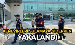 Kenevirleri sulamaya giderken yakalandı
