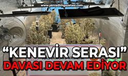 Çiftlik evlerini kenevir serasına çeviren sanıkların yargılanmasına devam edildi