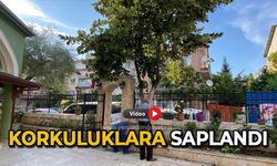Korkuluklara saplandı