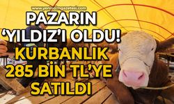 Pazarın yıldızı ‘Yıldız’ oldu; 850 kiloluk kurbanlık 285 bin TL’ye satıldı