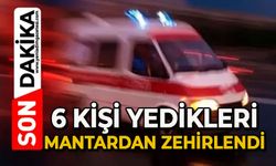 6 kişi mantardan zehirlendi