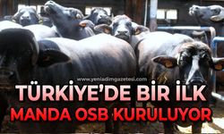 Türkiye'de ilk: Zonguldak'a Manda OSB kuruluyor