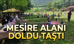 Mesire Alanı doldu taştı