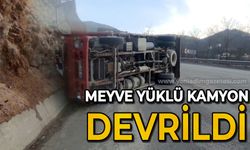 Meyve yüklü kamyon devrildi