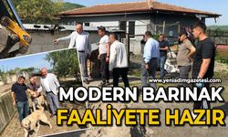 Modern barınak hazır