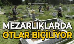Mezarlıklarda otlar biçiliyor