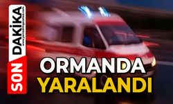 Ormanda yaralandı
