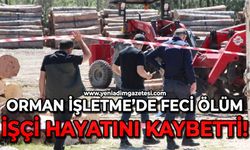 Tonlarca tomruk üzerine devrildi, hastanede hayatını kaybetti