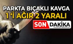 Parkta bıçaklı kavga: 1 ağır 2 yaralı