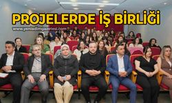 Projelerde iş birliği
