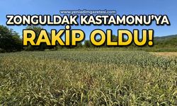 Zonguldak Kastamonu'ya rakip oldu