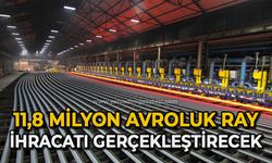 11,8 milyon avroluk ray ihracatı gerçekleştirecek