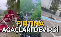 Şiddetli rüzgar ağaçları devirdi